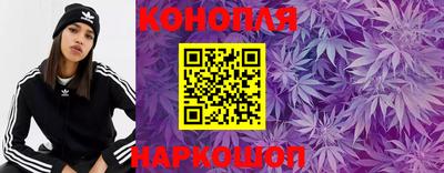 сатива Бузулук