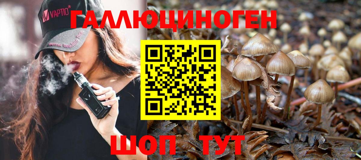 Галлюциногенные грибы Magic Shrooms  Вход с VPN  Галлюциногенные грибы Psilocybine cubensis  Россошь 