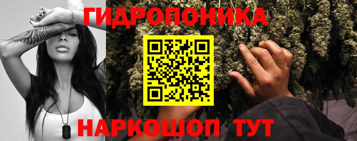 Марихуана план Россошь